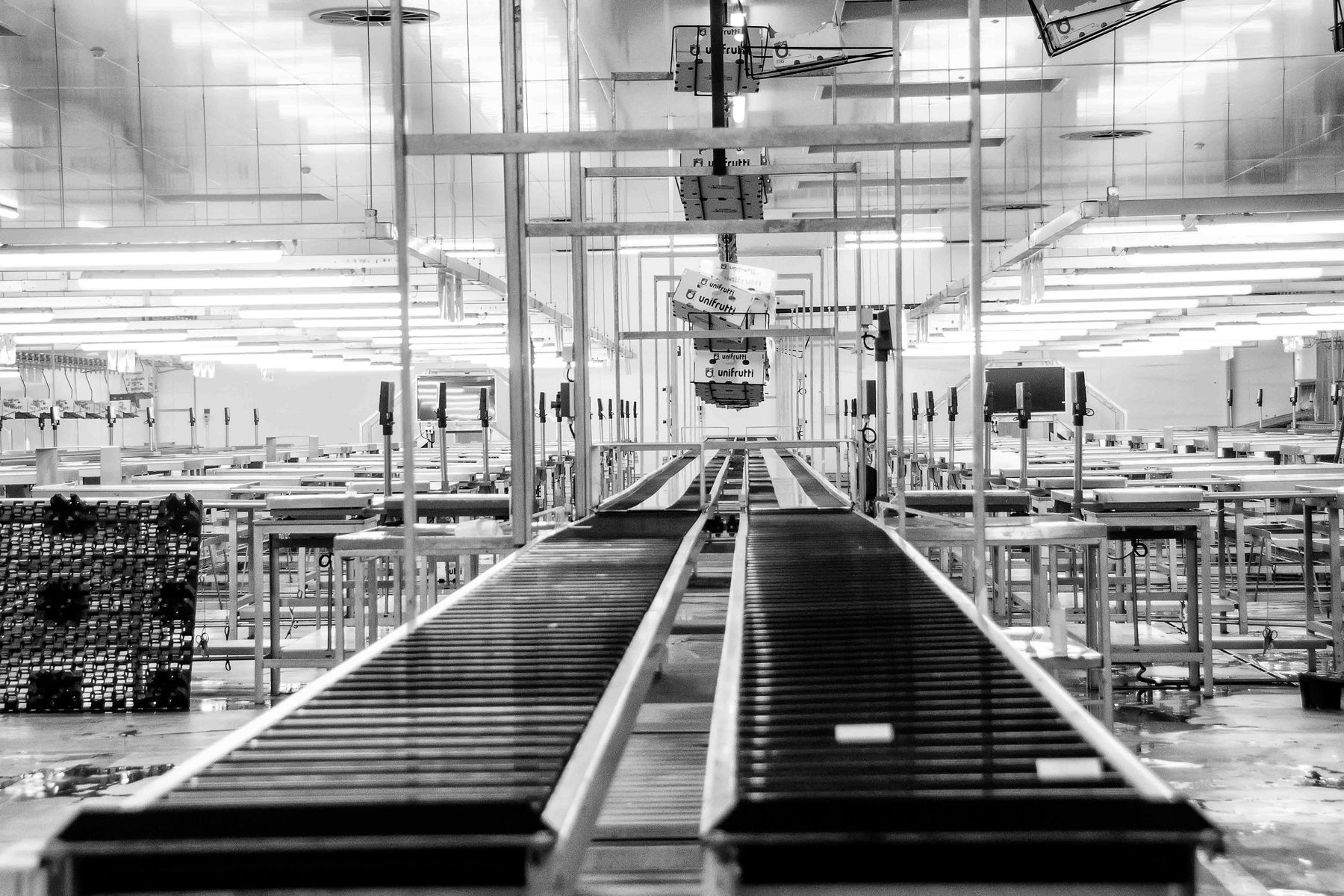 Industry & Manufacturing